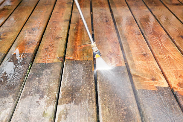 Best Soft Washing for Delicate Surfaces in Palm Harbor, FL